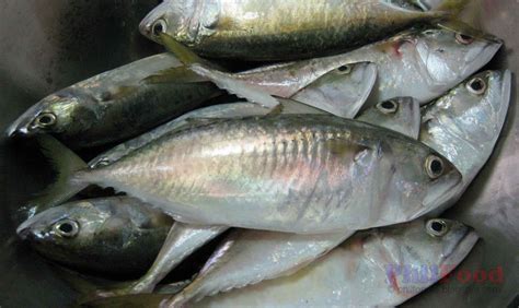 croaker fish tagalog|COMMON FISH IN THE PHILIPPINES AND .